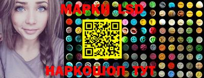 шишки Новодвинск
