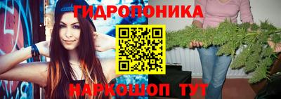 шишки Новодвинск