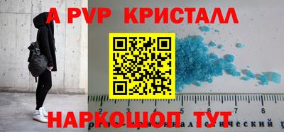шишки Новодвинск