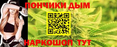 шишки Новодвинск