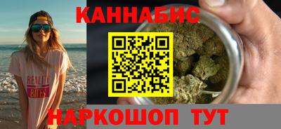 шишки Новодвинск