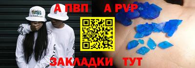 шишки Новодвинск