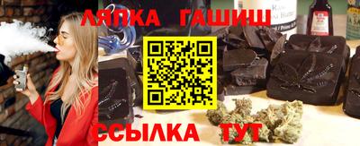 шишки Новодвинск