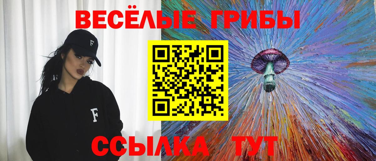 Севастополь  Псилоцибиновые грибы мухоморы  Вход с VPN  Псилоцибиновые грибы Psilocybine cubensis 