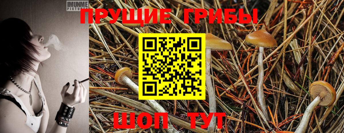 Галлюциногенные грибы ЛСД Севастополь